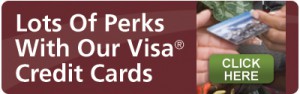Lots of Perks with our Visa Credit Cards banner