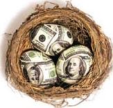 Nest Egg: One hundred dollar bills shaped like eggs in a bird nest