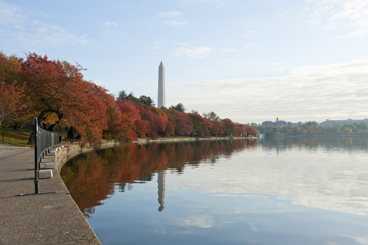 Best Fall Road Trip from NJ - Washington DC